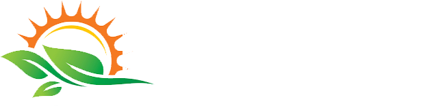 Shivay Export ™