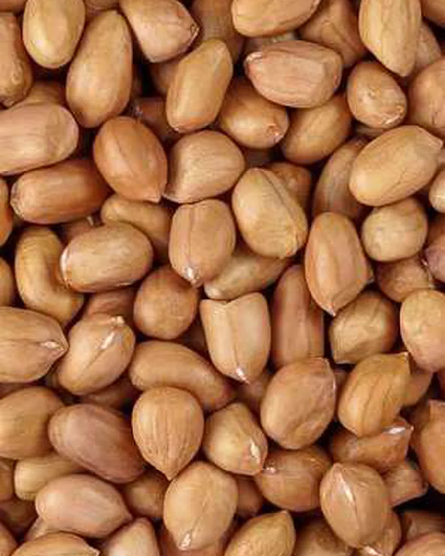 Groundnut kernels