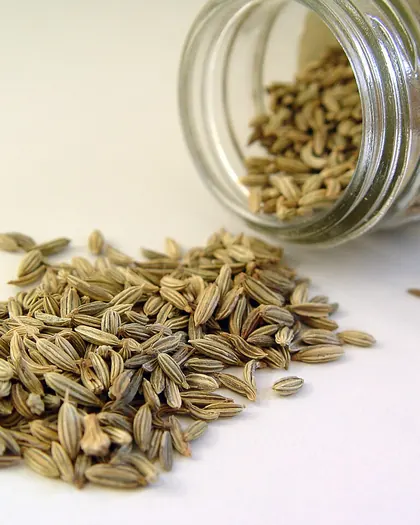 Fennel Seeds