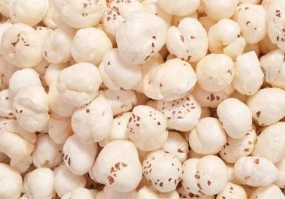 Foxnut