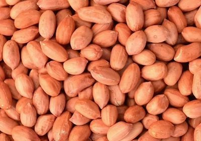 Peanut BG 1