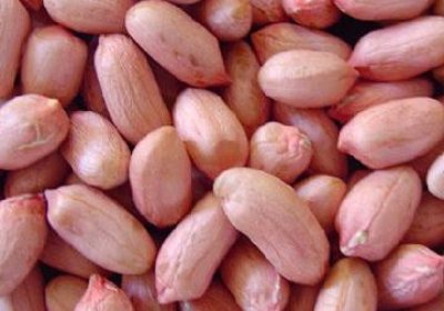 Peanut Kadir - 2